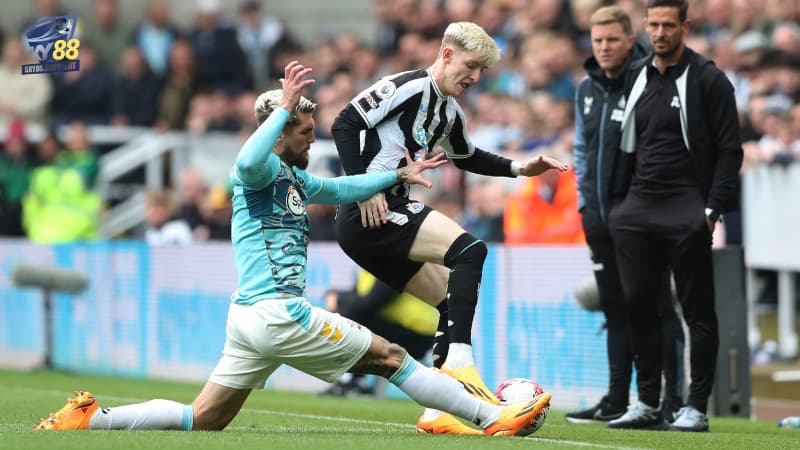 soi kèo nhà cái Newcastle United vs Southampton